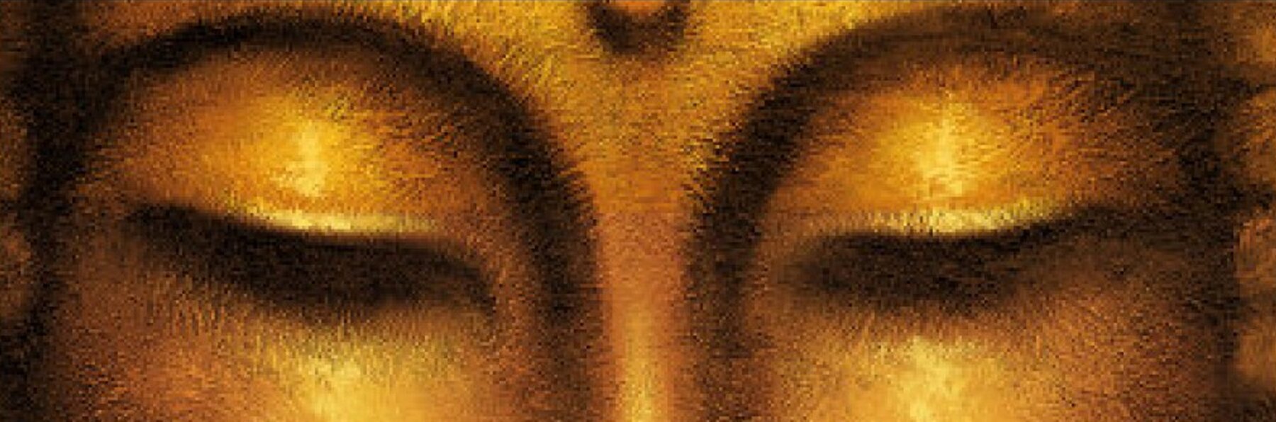 meditazione buddhista